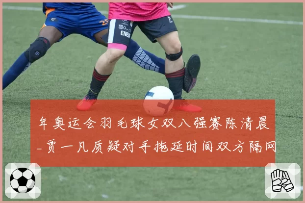 年奥运会羽毛球女双八强赛陈清晨_贾一凡质疑对手拖延时间双方隔网互吼